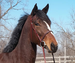 I Am A Big Star Now