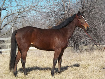 I Am A Big Star Now