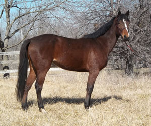 I Am A Big Star Now