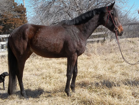 Seattles Design Star