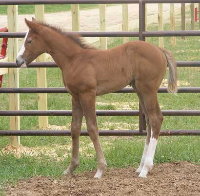 Staring My Leading Lady