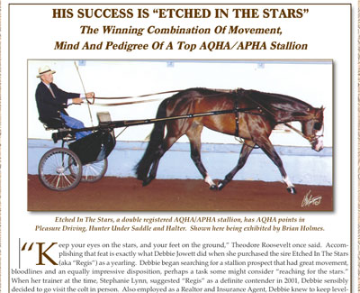 Paint & Quarter Article
