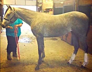 Staring My Leading Lady