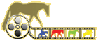 Equine Video & Web Creations