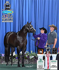 Gucci2021AQHAWorld-1