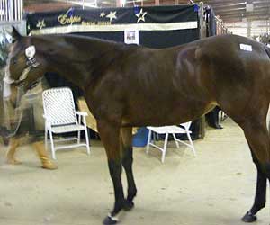 I Am A Big Star Now