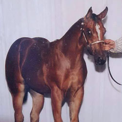 MissCoolPerfection-1