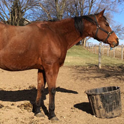 ShesEasyCoolest1-750