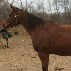 ShesEasyCoolest2-750