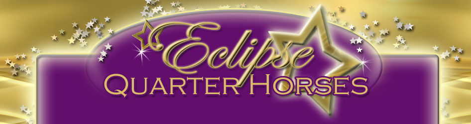 Eclipse Quarter Horses