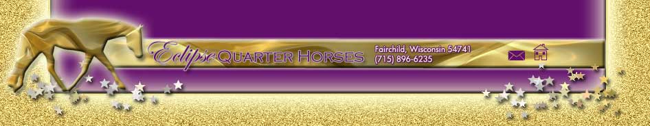 Eclipse Quarter Horses
