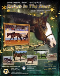 RegisAdFeb2012Foals