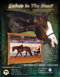 RegisAdFeb2012