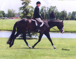 RegisUnderSaddle1